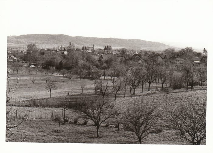 80-tá léta 20. st.