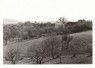 80-t� l�ta 20. st.