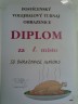 Diplom JUNIORS